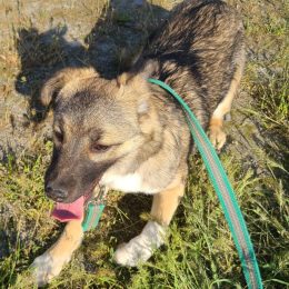 photo_2025-11-17_21-41-07