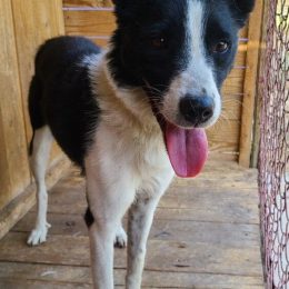 photo_2025-11-17_21-41-15